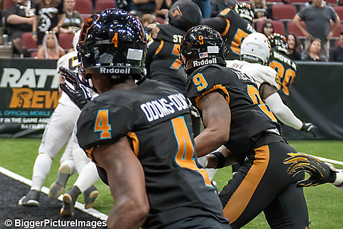 IMG_3305-denoise-denoise_1774867084_69ca528c6133d