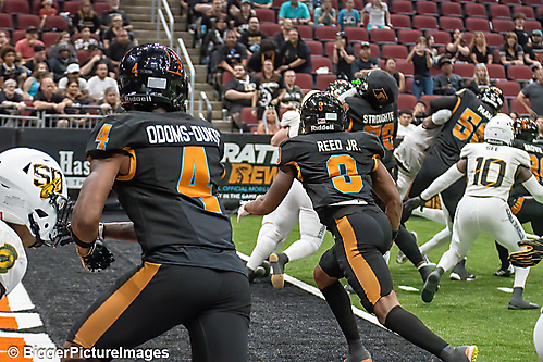 IMG_3307-denoise-denoise_1774867085_69ca528d24c70