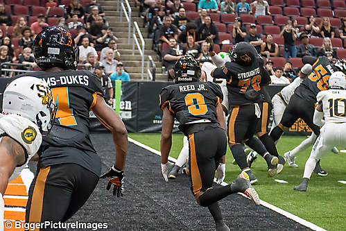 IMG_3308-denoise-denoise_1774867085_69ca528dc4d42