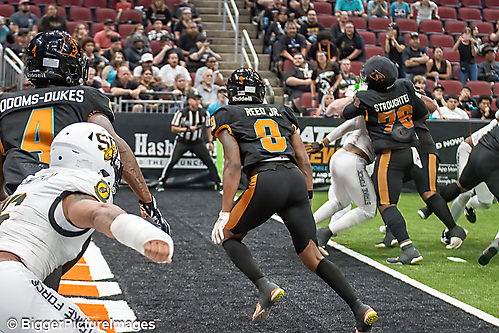 IMG_3309-denoise-denoise_1774867087_69ca528f3aa65