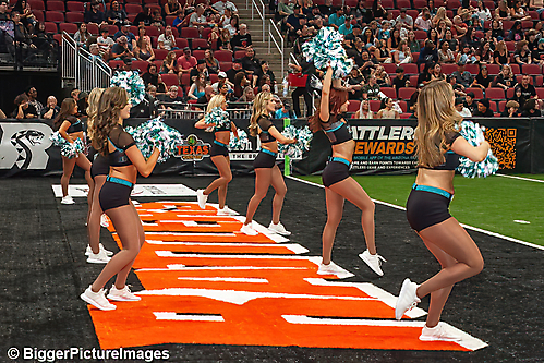 IMG_8700-denoise-denoise_1774867094_69ca52963130c