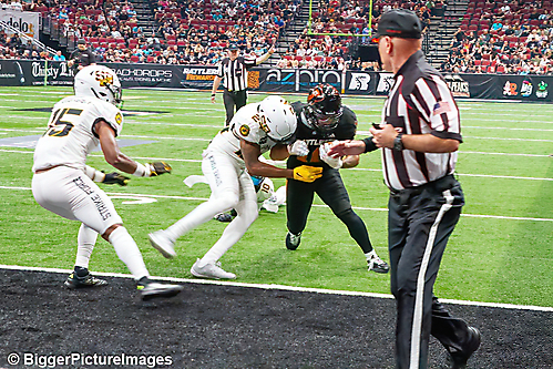 IMG_8712-denoise-denoise_1774867098_69ca529a05813