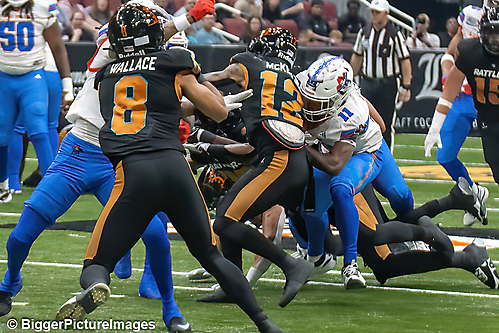 12_IMG_3488-denoise-denoise_1776068011_69dca5ab6b355