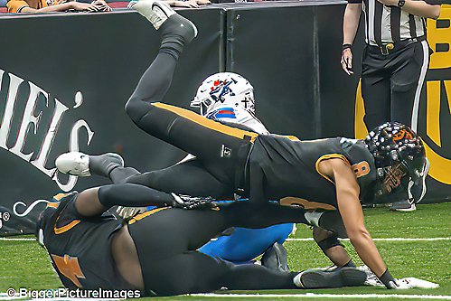 23_IMG_3613-denoise-denoise_1776068035_69dca5c34b67d