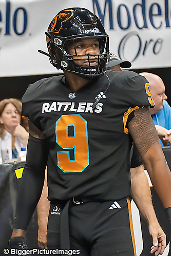 24_IMG_3466-denoise-denoise_1776068036_69dca5c408a72