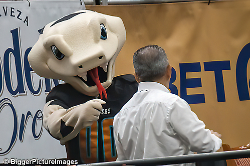 27_IMG_3617-denoise-denoise_1776068040_69dca5c83f039