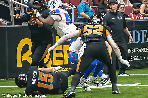 33_IMG_3625-denoise-denoise_1776068050_69dca5d2255ee