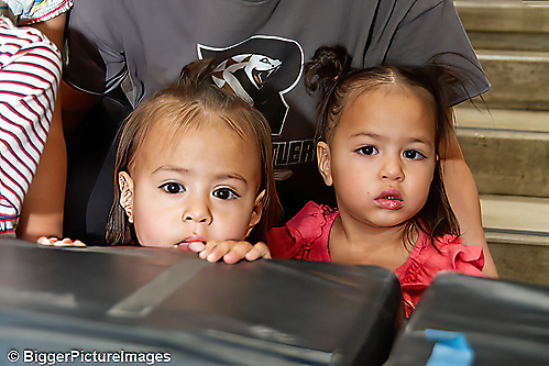 33_IMG_8802-denoise-denoise_1776068052_69dca5d4dc660