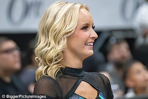 39_IMG_3501-denoise-denoise_1776068060_69dca5dc95ab4