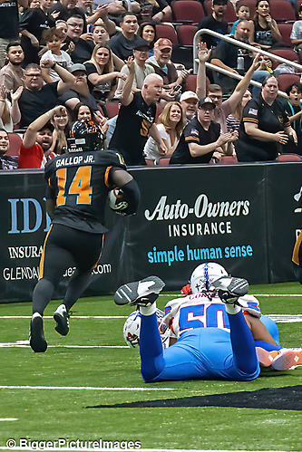 39_IMG_3651-denoise-denoise_1776068061_69dca5dd9b9ff