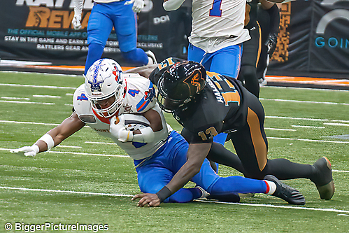 41_IMG_3692-denoise-denoise_1776068067_69dca5e3687e6