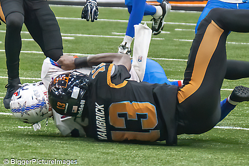 41_IMG_3695-denoise-denoise_1776068068_69dca5e49e359