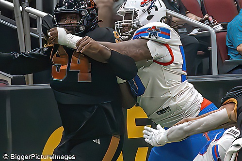 44_IMG_3626-denoise-denoise_1776068073_69dca5e9685e7