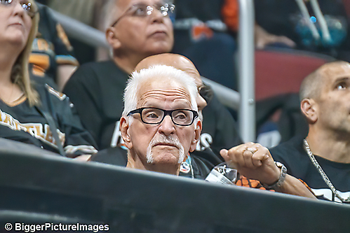 45_IMG_3459-denoise-denoise_1776068075_69dca5eb28e2c