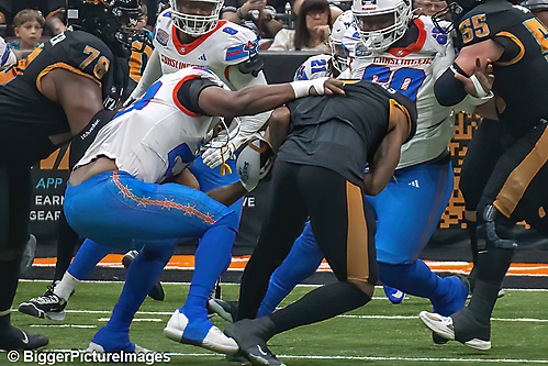 47_IMG_3583-denoise-denoise_1776068076_69dca5ecf3051