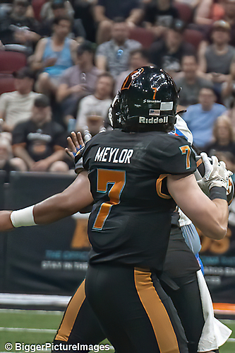 49_IMG_3559-denoise-denoise_1776068078_69dca5eec2e28