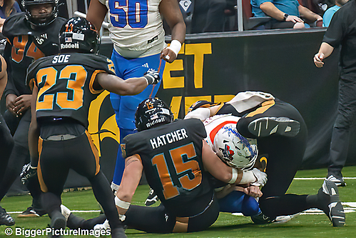 55_IMG_3629-denoise-denoise_1776068082_69dca5f20394d