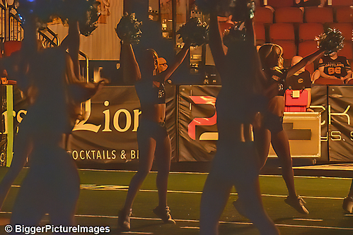 IMG_3385-denoise-denoise_1776068113_69dca611405a7