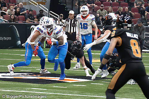 IMG_3475-denoise-denoise_1776068126_69dca61e754d6