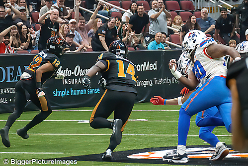 IMG_3640-denoise-denoise_1776068138_69dca62a9cb37