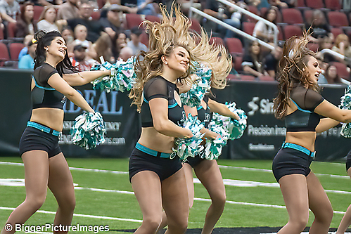 IMG_3723-denoise-denoise_1776068154_69dca63a17b15