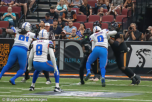 IMG_3761-denoise-denoise_1776068160_69dca64078ea1