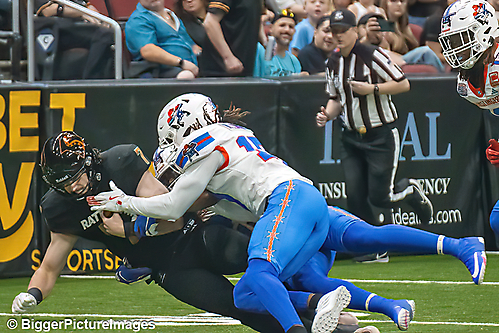 IMG_3773-denoise-denoise_1776068165_69dca64501549