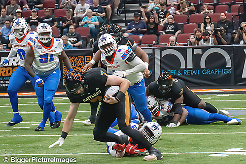 IMG_3878-denoise-denoise_1776068199_69dca667def88