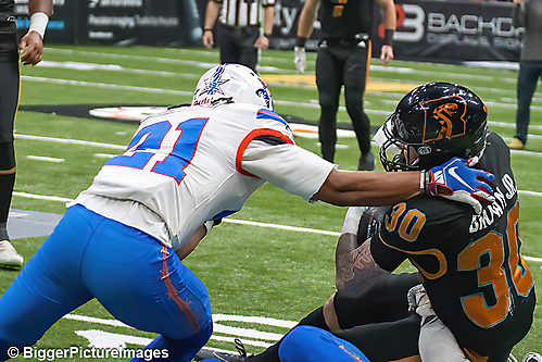 IMG_3924-denoise-denoise_1776068211_69dca673bf106