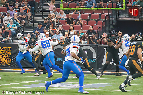 IMG_3974-denoise-denoise_1776068225_69dca681927a9