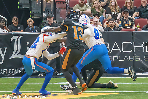 IMG_3976-denoise-denoise_1776068227_69dca6836add1