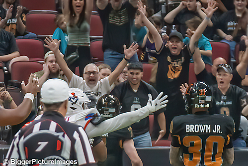 IMG_4090-denoise-denoise_1776068237_69dca68d3b2b3