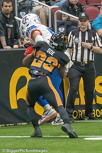 IMG_4104-denoise-denoise_1776068240_69dca690f1d32