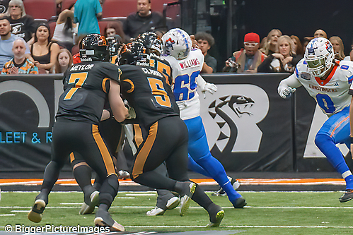 IMG_4127-denoise-denoise_1776068245_69dca6957723a