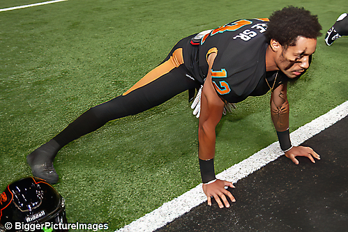 IMG_8816-denoise-denoise_1776068257_69dca6a1ea1a9