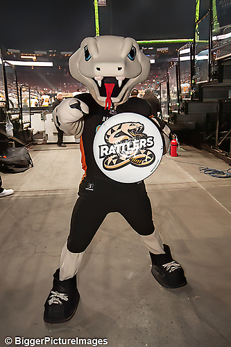 12_IMG_8867-denoise-denoise_1777329008_69efe370e611f