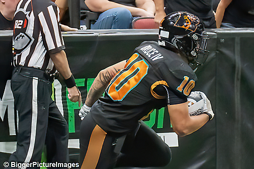 15_IMG_4491-denoise-denoise_1777329013_69efe375b7318