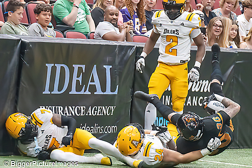 17_IMG_4227-denoise-denoise_1777329019_69efe37b73d1f