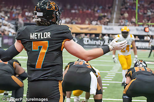 22_IMG_4511-denoise-denoise_1777329024_69efe380f1fc3