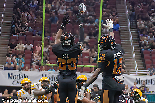 27_IMG_4442-denoise-denoise_1777329030_69efe386a70fc