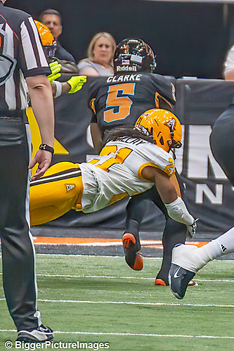 28_IMG_4592-denoise-denoise_1777329034_69efe38a9c4b8