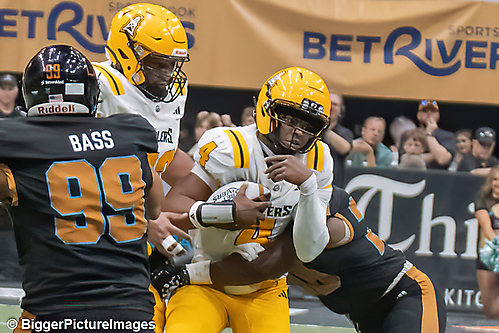 39_IMG_4435-denoise-denoise_1777329064_69efe3a87dd50