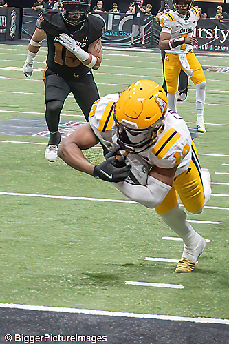 44_IMG_4473-denoise-denoise_1777329070_69efe3ae43cfe