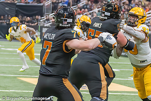 44_IMG_4539-denoise-denoise_1777329071_69efe3afa825c