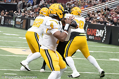 IMG_4174-denoise-denoise_1777329091_69efe3c3e9081