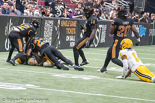 IMG_4181-denoise-denoise_1777329097_69efe3c9263b7