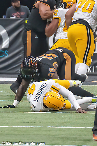 IMG_4203-denoise-denoise_1777329113_69efe3d978d85