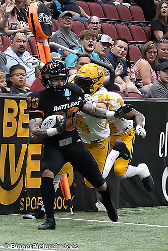 IMG_4217-denoise-denoise_1777329119_69efe3dff0692