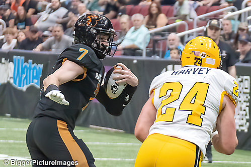 IMG_4232-denoise-denoise_1777329129_69efe3e959eb1