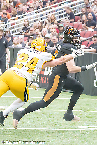 IMG_4235-denoise-denoise_1777329133_69efe3ed17496